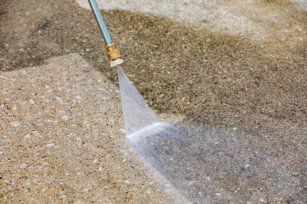Best Roof Cleaning and Mildew Removal in Watertown, NY